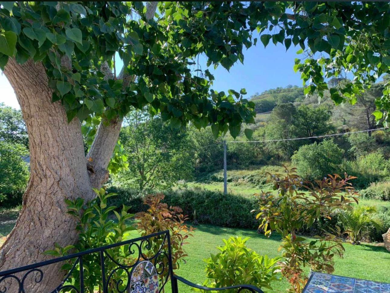 Case Vacanza Villa Bentivoglio Πιάτσα Αρμερίνα Εξωτερικό φωτογραφία